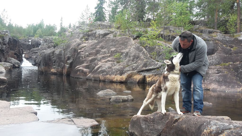 indian tribe husky's Elan